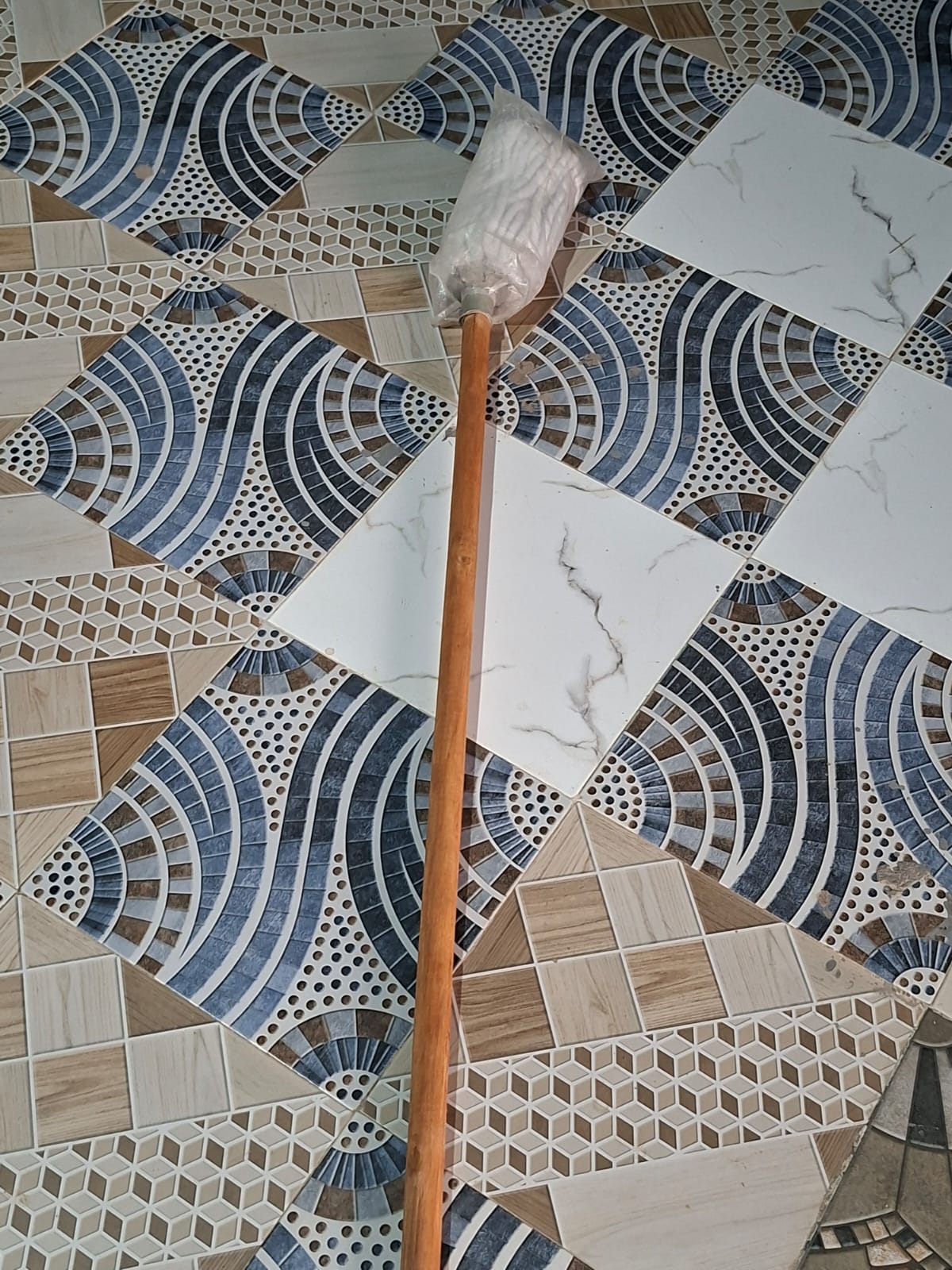 Hand Brush with Stick